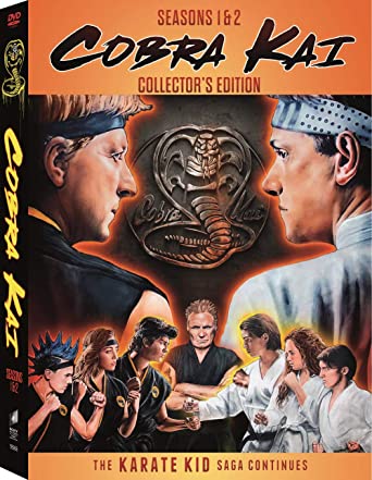 Cobra Kai 2018 Season 1 in Hindi Movie